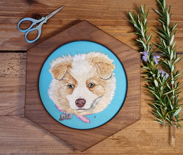 Hand embroidered portrait of a very fluffy champagne border collie puppy on light blue fabric in a hexagonal frame