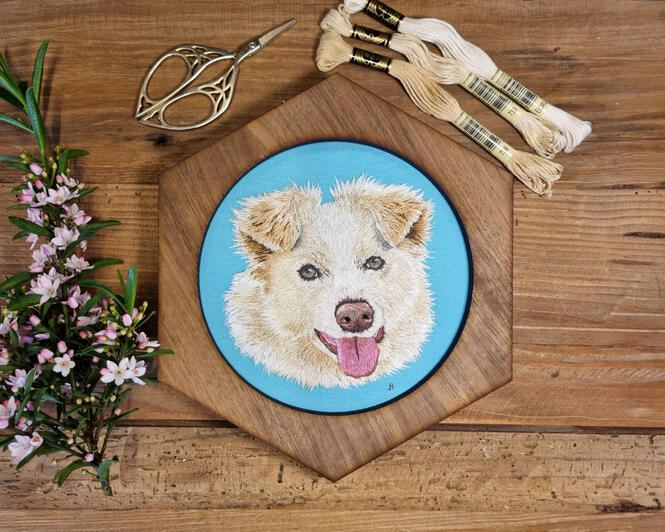 Hand embroidered portrait of a champagne border collie on light blue fabric in a hexagonal frame