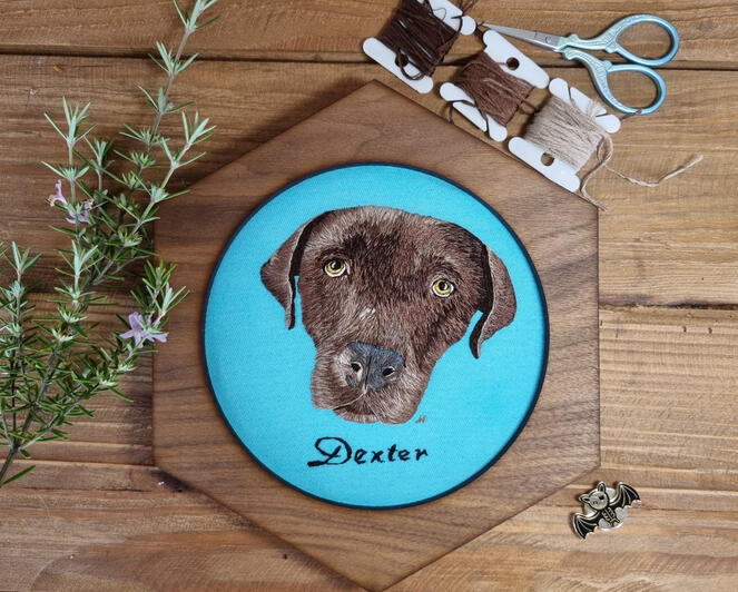 Hand embroidered portrait of chocolate Labrador called Dexter on light blue fabric in a hexagonal frame